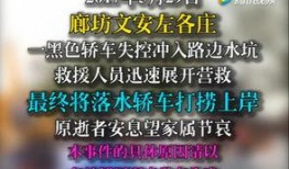 网友爆料原视频大全,原视频大全揭秘，精彩瞬间一网打尽！